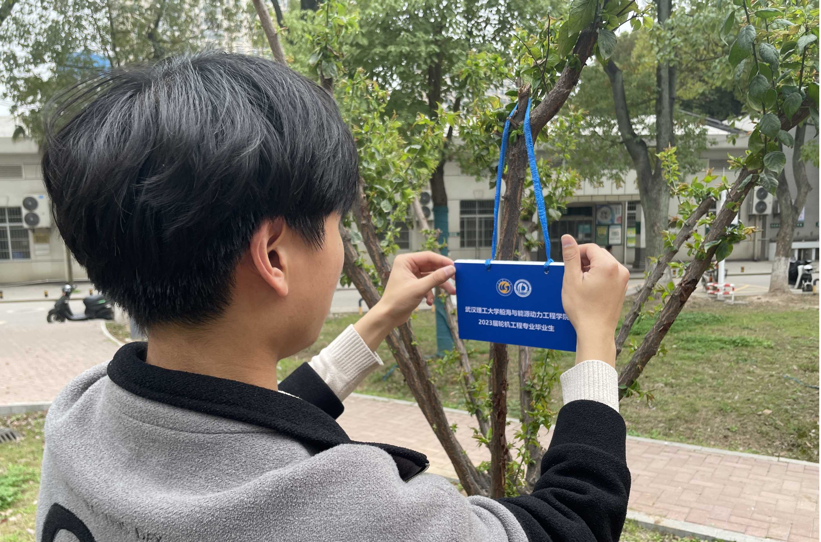 网球博彩