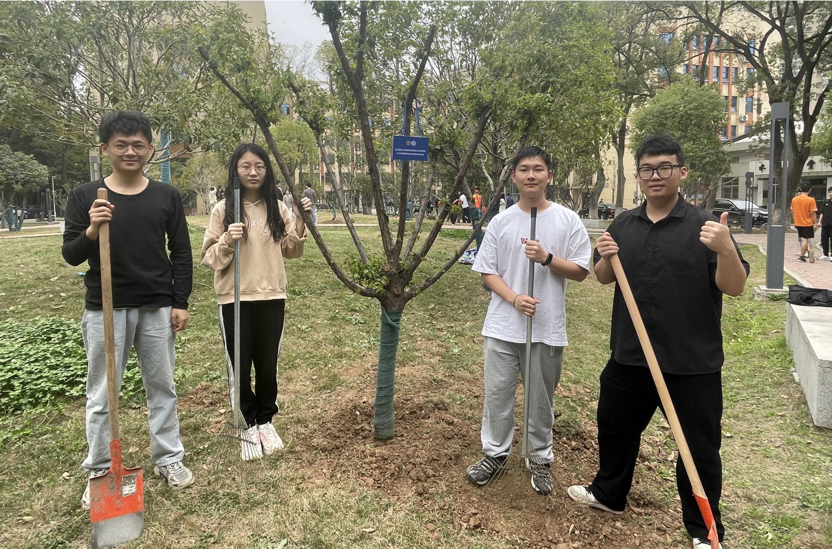 网球博彩