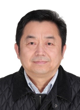 网球博彩