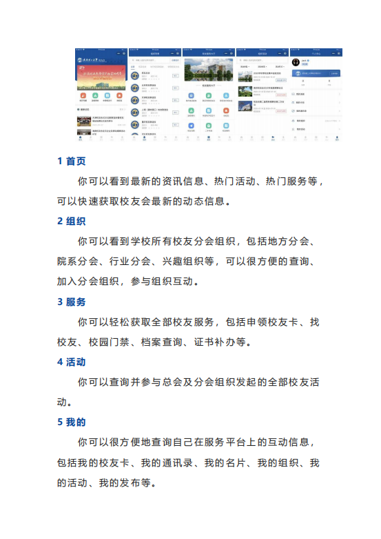 网球博彩