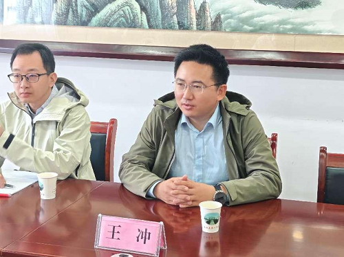 网球博彩